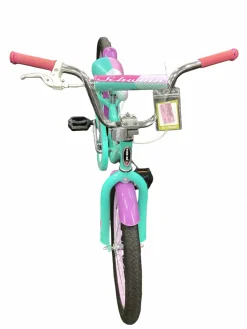 Used Schwinn SUNNYSIDE Comfort Bike Girls Kelly green 20"