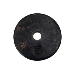 Used Standard Plate (Each) 5 lb