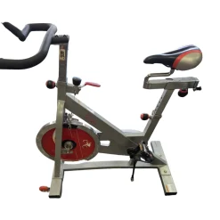 Used Sunny SPIN BIKE Upright Bike