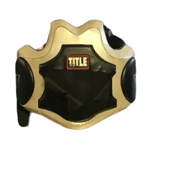 Used Title Boxing Boxing Pads Grey
