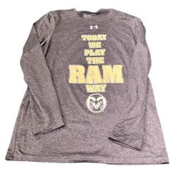 Used Under Armour L.S. T-Shirt W Grey SM