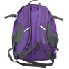 Used XC Ski Bag