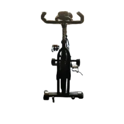 Used Xoopon Indoor Cycle